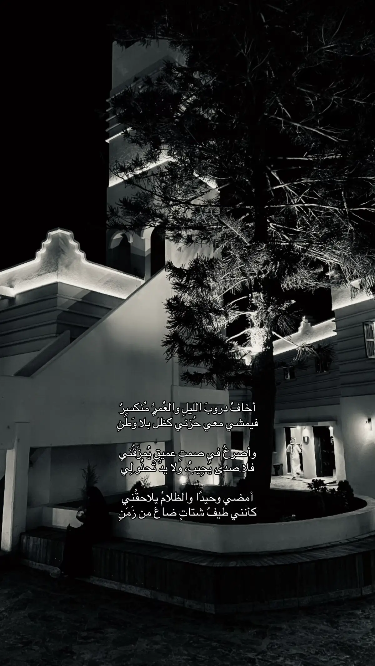 #explore #foryoupage #fyp 