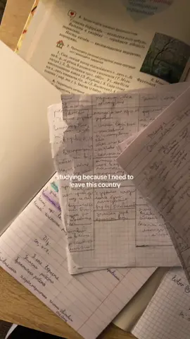 studying because I need to leave this country #motivation #studyvlog #studytok #discipline #viraltiktok 