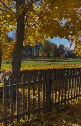 Primero de mes  1 de octubre 2025 🤎🤎🤎 #sorprendemeoctubre #bienvenidooctubre #inciodemes #1deoctubre #bendicionesdeoctubre 