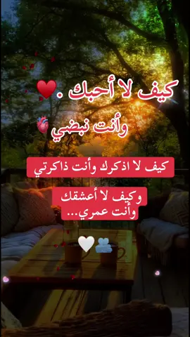 كيف لا _أحبك وأنت _نبضي كيف _لا اذكرك _وأنت _ذاكرتي وكيف _لا أعشقك _وأنت_ عمري..#capcut #foryoupage #foryoupageofficiall #viralvideo #duet 