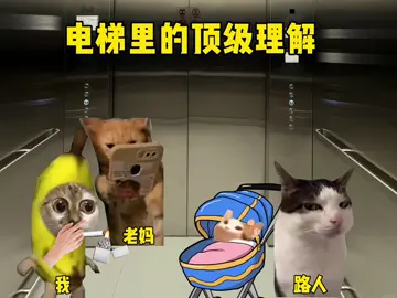 电梯里的顶级理解 #catmemes #猫meme #搞笑 #抽象 #catsoftiktok 