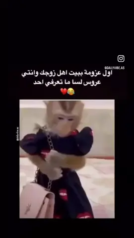 #😂😂😂😂😂😂😂😂😂😂😂😂😂😂😂 #شعب_الصيني_ماله_حل 