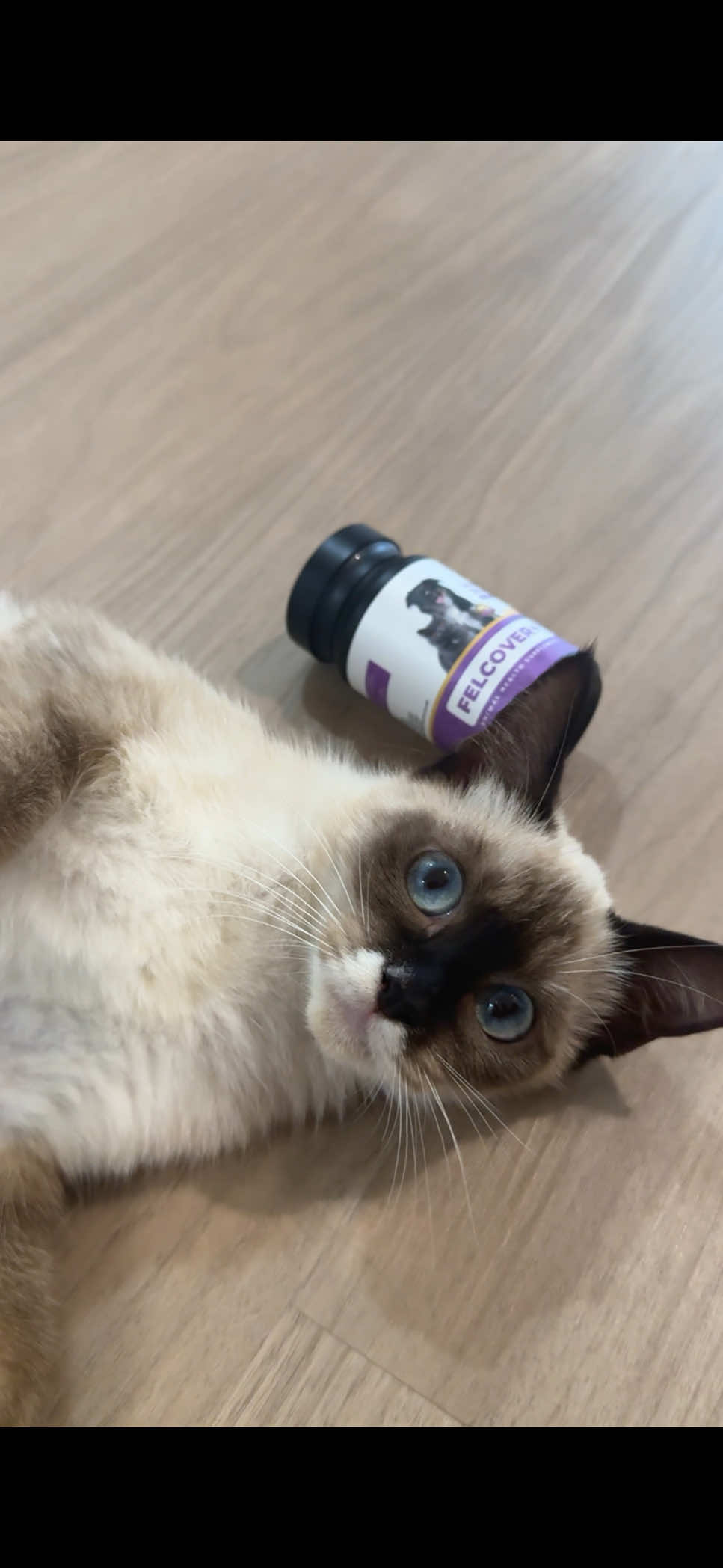 Pup anabul bau banget? Jangan dianggap sepele, karena itu bisa jadi salah satu tanda penyakit. Dari bentuk, warna, sampai aromanya, pup sebenarnya adalah ‘alarm kesehatan’ anabul. Kalau baunya terlalu menyengat atau berbeda dari biasanya, sering kali itu nunjukin masalah pencernaan yang bisa bikin imunitasnya menurun. Makanya penting banget buat ngejaga pencernaan mereka. Kamu bisa pakai Felcover + dari @animacompanion  Dengan pencernaan yang baik, anabul jadi lebih aktif, lahap makan, dan nggak gampang sakit ✨ #PawrentsHebatAnabulSehat #Felcover+