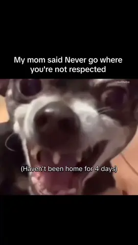 🚶🏾‍♂️🚶🏾‍♂️🚶🏾‍♂️