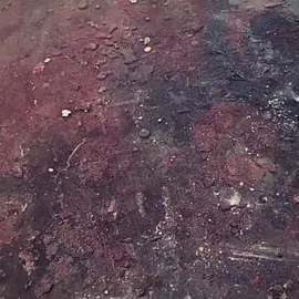 oh god😵‍💫🫨 i need some face #mabeltiktok #fypシ゚ #on4t #fypage #fypchallenge 