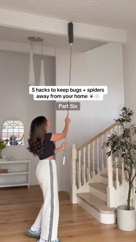 You’ll never see another spider web in your home with tip #5 🙌 as we enter the warmer months and open up our doors + windows, these tricks will make sure the bugs and spiders stay outside where they belong and not inside your home ♥️ hope these tips are helpful lovelies xx  1. Spiders hate citrus and rosemary, so place lemon and rosemary in boiling water and allow this fragrance to fill your home (it smells great too!) 2. Once cool, you can bottle this mix and use it as a surface spray on doors and windowsills (use discretion if you have pets) 3. Place bay leaves in your pantry to keep pantry bugs away  4. Pour boiling water down drains to prevent fruit flies entering  5. And wipe peppermint oil on ceilings to prevent spider webs! This one works so well to prevent spiders and spider webs in the corners of your home  Which one will you try first?  #homehacks #hometips #cleaningtiktok #tipsandtricks 