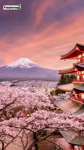 LO TAU GAK SIH? 😲 Tidur miring ke kiri ternyata bisa bantu kurangi risiko asam lambung naik loh! Cek deh penjelasannya di video ini. Biar makin aman, rutin minum Freshmag ya, madu herbal bantu redakan gangguan lambung. #taugaksih #freshmag #madulambung #fyp 