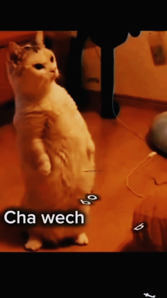 #trending #foryoupage #like #fyp #fypage #trend #Love #fypシ #fypシ゚viral #Love #viral #trending 