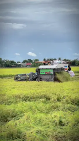 Ước Muốn Lớn Nhất Cuộc Đời Anh Có Cái Đám Cưới Thật Ngời Xanhh 🫶🤭