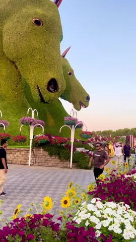World’s Largest Beautiful Natural flowers 💐 🌻🥀🌹🌺🌸 miracle Garden Season 14 ❤️