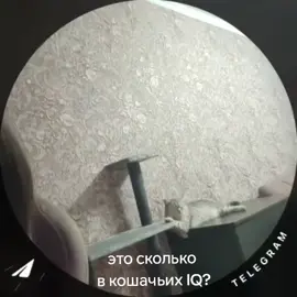 - Во-первых, я историк - Патриот - Настоящий дипломат - Когда я был инструктором политотдела.. - Я хороший спортсмен по многим видам спорта - У меня были кой-какие способности.. - Я, Дмитрий, пограничник - Я написал конституцию для Украины - Я параллельно заканчивал школу лекторов - Я тогда какое-то время обществознание возглавлял - Я международником всегда был.. - Я работал в сельском хозяйстве директором - Я постоянно в церковь хожу - Я профессиональный футболист - Вы имеете дело с фотографом.. советским - Я побывал во всех войсках