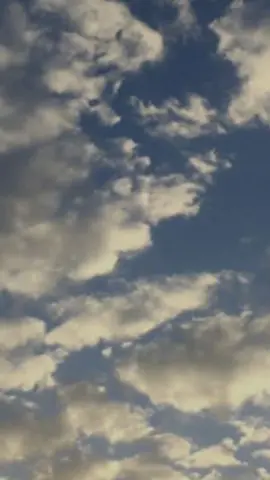 #CapCut #قران_كريم #راحة_البال_وهدوء_النفس🥀🖤 