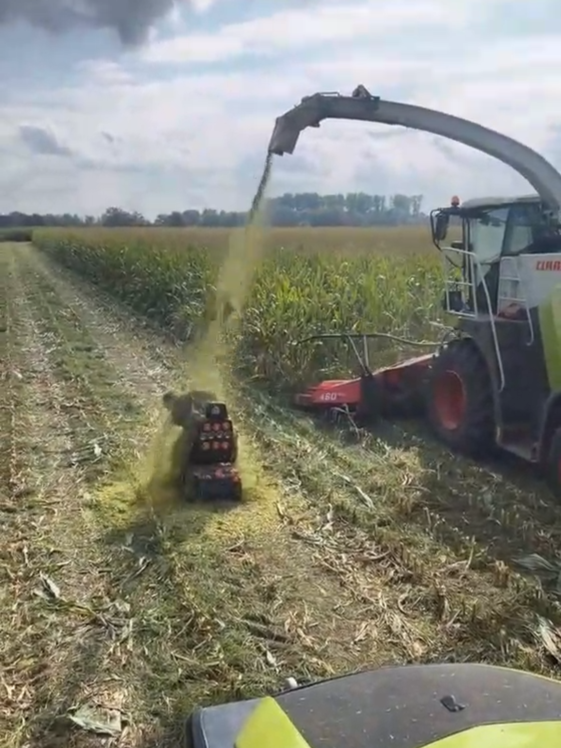 Alle kleine beetjes helpen nietwaar #farmer #high