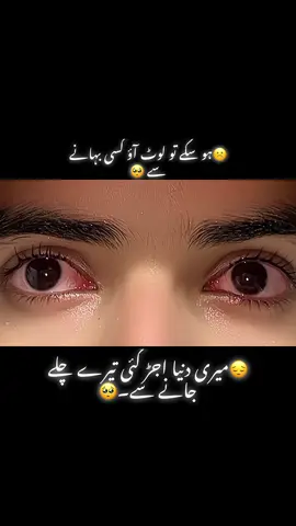 ہم نے سوچ رکھا ہے تیرے لوٹ آنے پر طنز کرنے والوں کا خُوب دل جلائیں گے🫀🫶#pikachu_4251🌸 #pikachueyesvideos #tiktok #trending #viral 