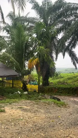 Aman aja