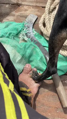 មកទៀតហើយបាទ🤣🤣