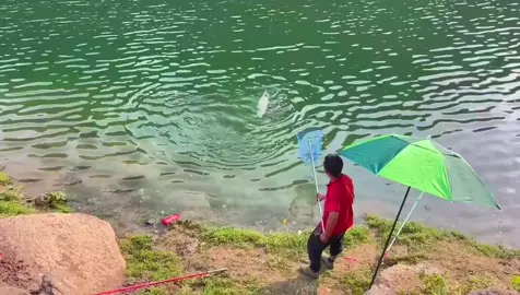 Nụ cười đẹp nhất ngày …😂 .#fishing #nghiencauca #thichcauca🎣 #caudai #hashtag 