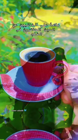 #بالله_ياطير_الحمام_اللي_تسافر #محمد_الفارس #قهوة_الصباح 