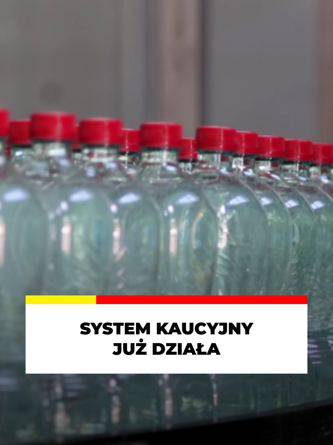 SYSTEM KAUCYJNY W POLSCE JUZ DZIAŁA