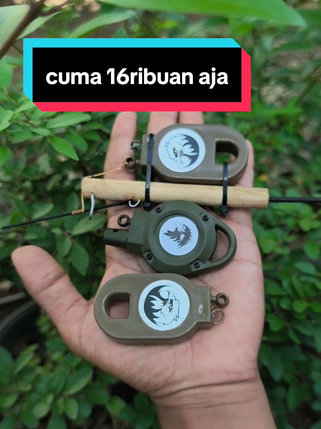 Perangkap Burung Otomatis sesimpel ini cuma lg turun harga#jeratburung #bolang #Outdoors #perkutut #ruakruak 