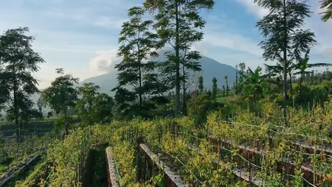 Melihat keindahanmu dari sisi yang lain #gunungsumbing 