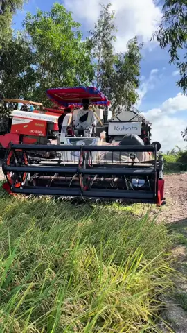 #xhhhhhhhhtiktokkkkkk ae đồng tháp cầu an bình chắc bt con máy này