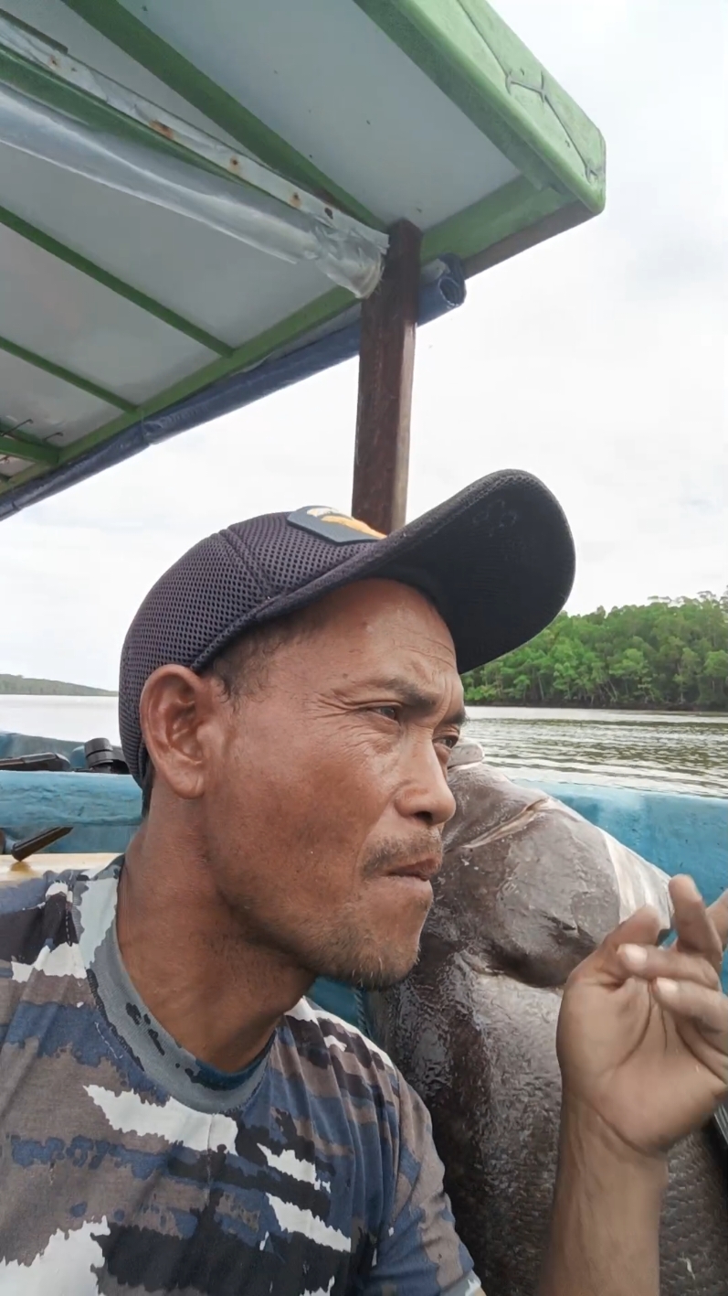 hasil hari ini alhamdulillah