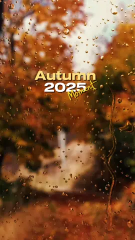 #CapCut #octobervibest #foryoupage🤎🍂🤎 #autumnvibes🍁 #fypシ゚viral🖤autumnmood🍁 