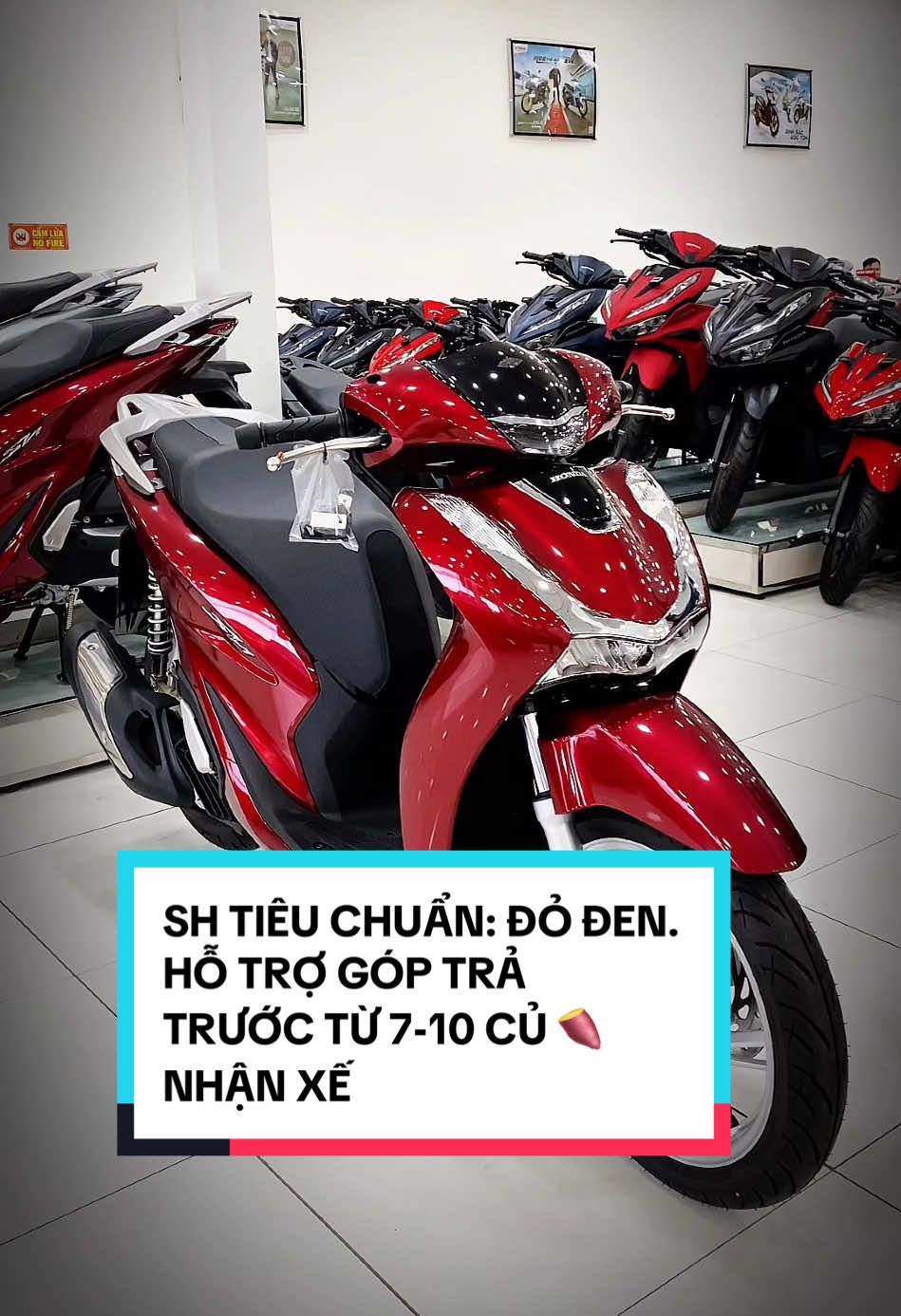 SH TIÊU CHUẨN: ĐỎ ĐEN. HỖ TRỢ GÓP TRẢ TRƯỚC TỪ 7-10 CỦ 🍠 NHẬN XẾ. GIẢM 500-3tr TUỲ THEO DÒNG XE VÀ TẶNG COMBO QUÀ TẶNG 🎁 7.500.000 Khi ĐẶT LỊCH ngày hẹn trước mua xe #sh #sh125 #sh160 #LearnOnTikTok #xuhuong 