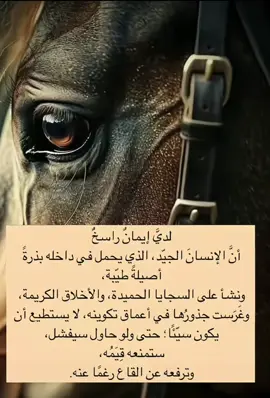 #الشعب_الصيني_ماله_حل😂😂 