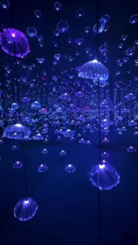 Minimal sesekali kalau di Jogja  ➡️ Sewa mobil dan driver Jogja  ➡️ Paket wisata Jogja  ➡️ Private trip ➡️ Perjalanan dinas #paketwisatajogja #wisatajogja #jogja #wisatagunungkidul #hehaskyview 