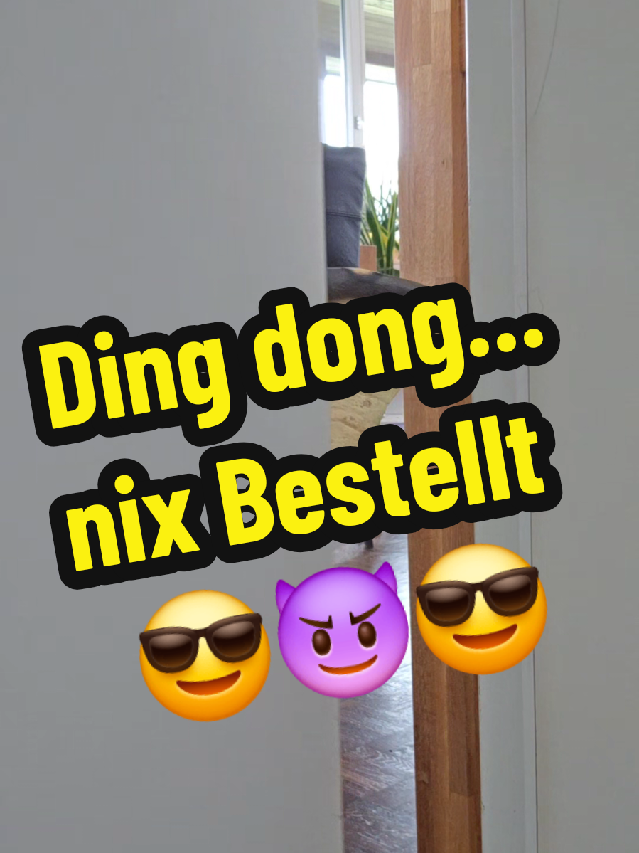 Wenn es klingelt und ich nichts bestellt habe, vorsichtig kontrollierter Blick ins Treppenhaus 😎😈💪#gremlin #puppets #humor #bestellung #kontrolle 