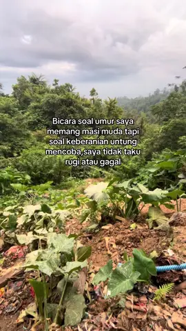 #kulitambang#tambangemaskalimantan#salamanaktambang #fyp 