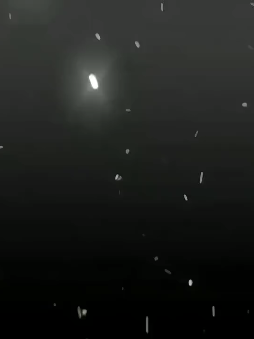 Ragnarok.#shumatsunovalkyrie #recordofragnarok #fyp