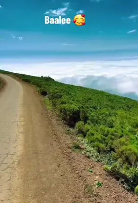 #creatorsearchinsights #viraltiktok #Baalee #oromotiktok @HalalBarbie🖤 