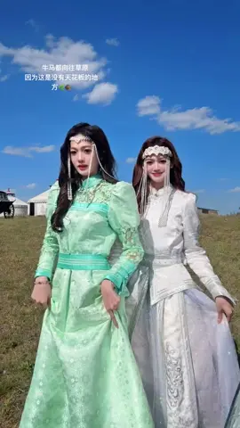 爱上这水草丰美的牧场 #火红的萨日朗舞蹈挑战大赛 #蒙古袍 #抖音潮流舞蹈大赛 #内蒙古 #loopk87 