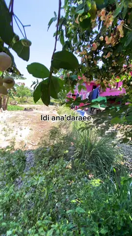 @Esa2_ @Kiuu we fuang😭😭#fyp #viral #4u #masukberanda #sulawesipride🏝️🔥 