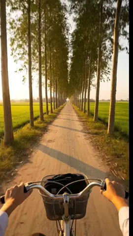 Đường quê đất nhỏ quanh co Hàng cây che mát, lúa xanh ven đồng. Leng keng chuông nhỏ ngân trong Bạn bè ríu rít, tiếng đồng vang xa. #foryou #trending #kýứctuổithơ #langquevietnam #duonglang 