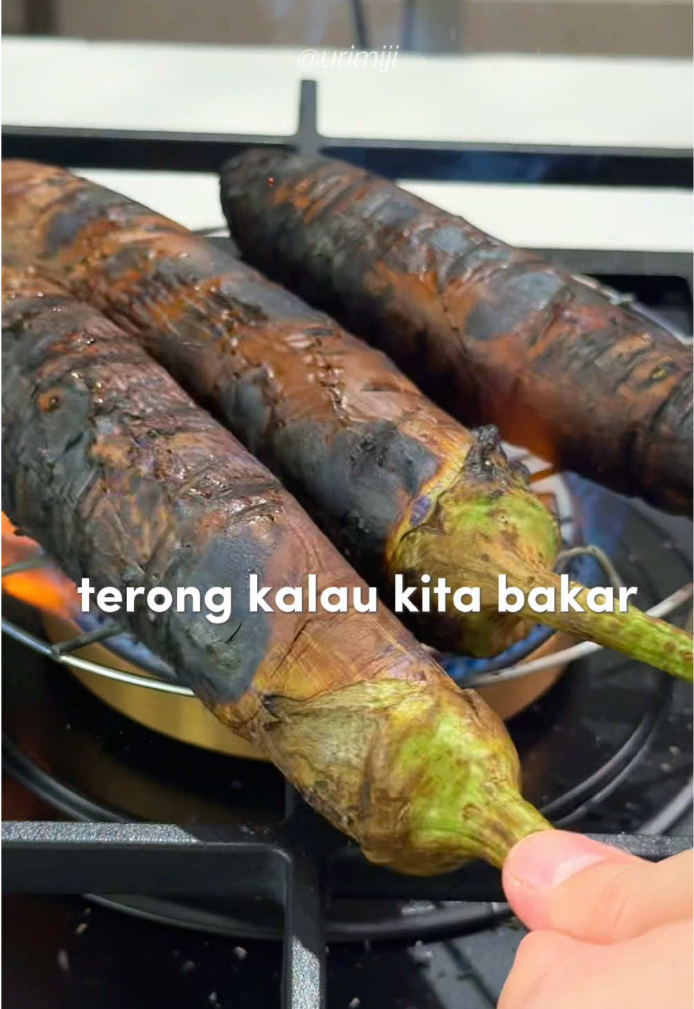 “Sekali coba, susah lupa. Sambel Pecak Santan dengan Terong Bakar—pedas, gurih, creamy, semua dalam satu suapan. #SambelPecak #ResepRumahan #MasakanIndonesia #TerongBakar #ResepHarian     