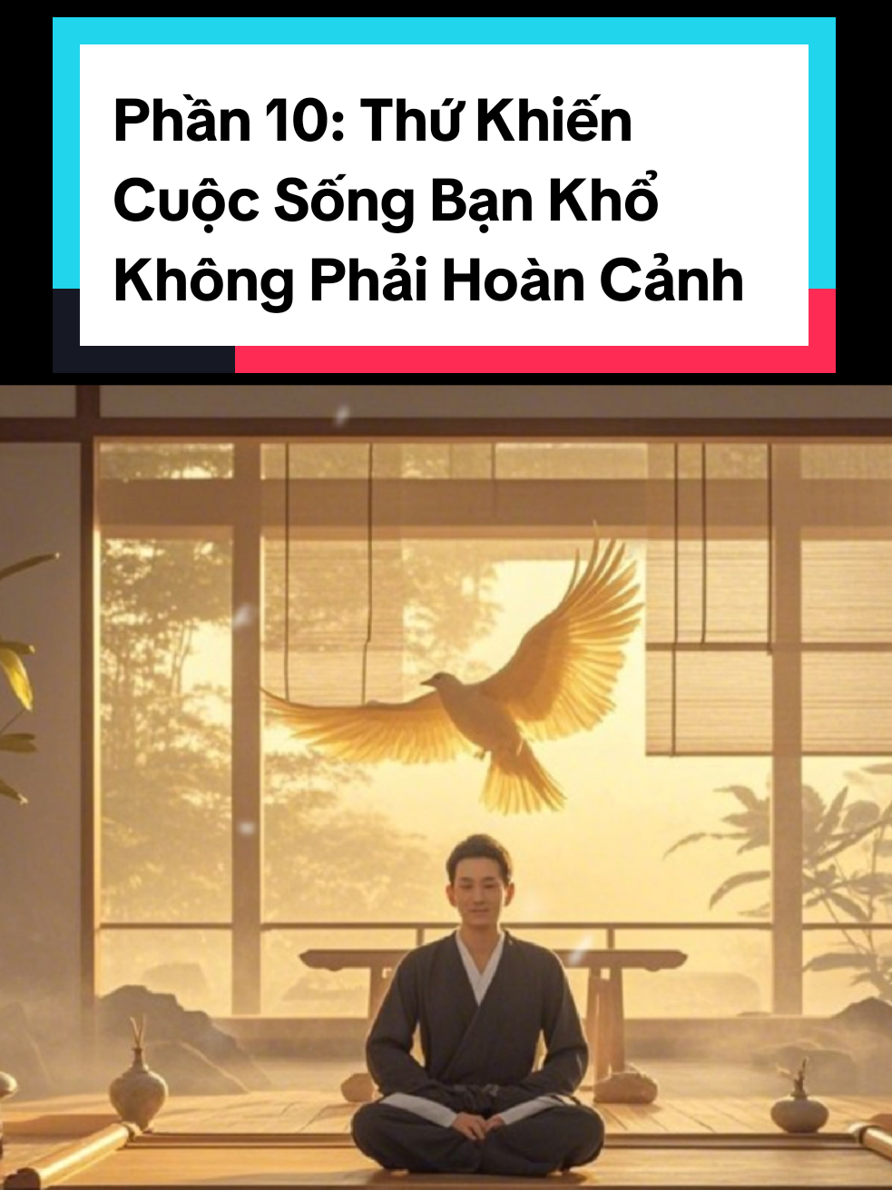 Phần 10: Thứ Khiến Cuộc Sống Bạn Khổ Không Phải Hoàn Cảnh – Mà Là Kỳ Vọng Bạn Tự Đặt Ra #langnhincuocdoi #trietlysong #tinhthuc #chualanh #chanhniem 
