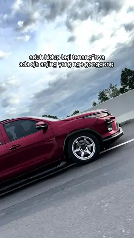 brisik bgt si🐶