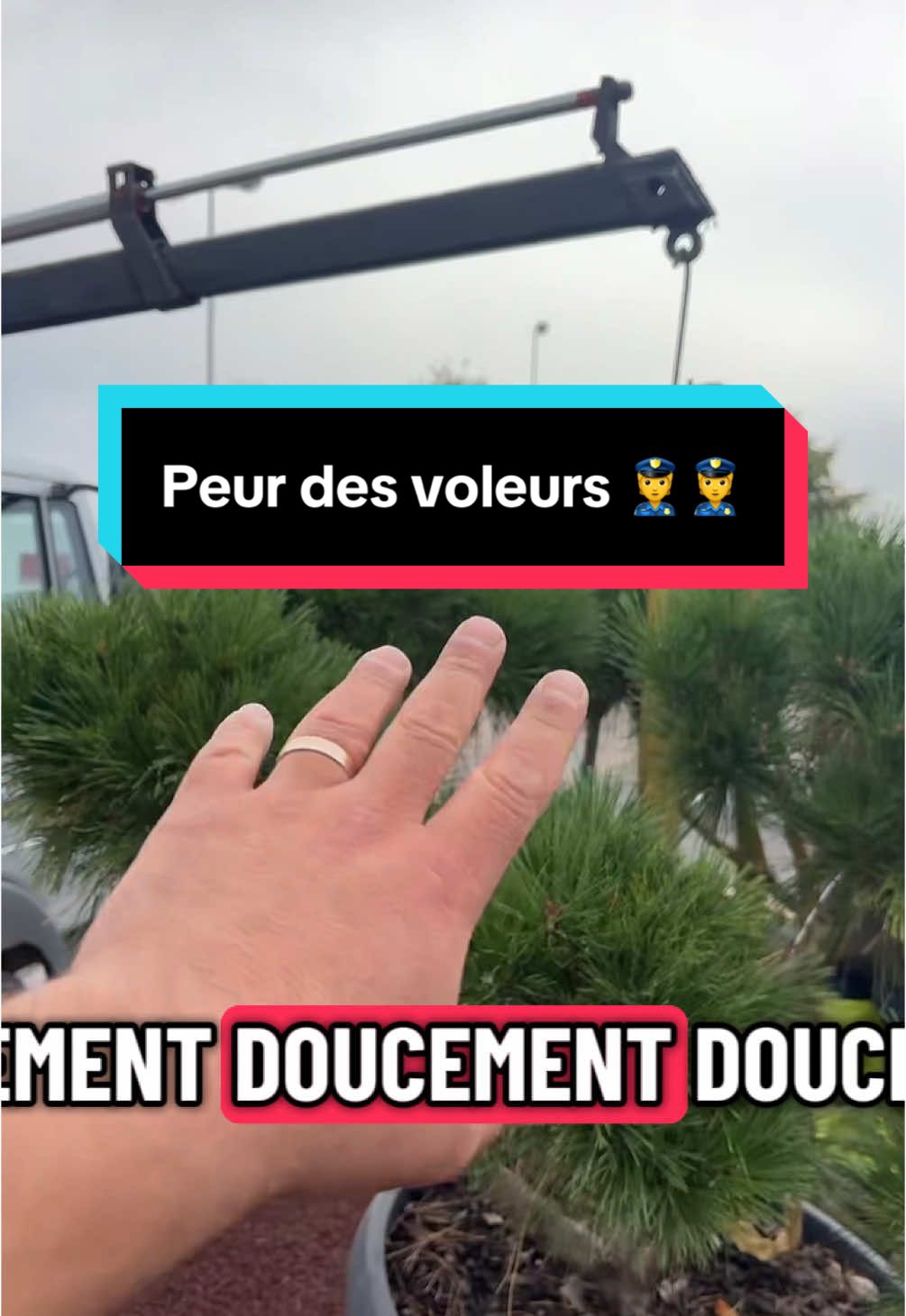 C’est malheureux de se faire voler, même les plantes😡😡!! Et oui ça arrive très souvent qu’on se fasse voler des plantes sur les chantiers.😒😒 tu penses pas que c’est abusé quand même ?##jardinierpaysagiste#grandest#jardins#entrepreneur#metz