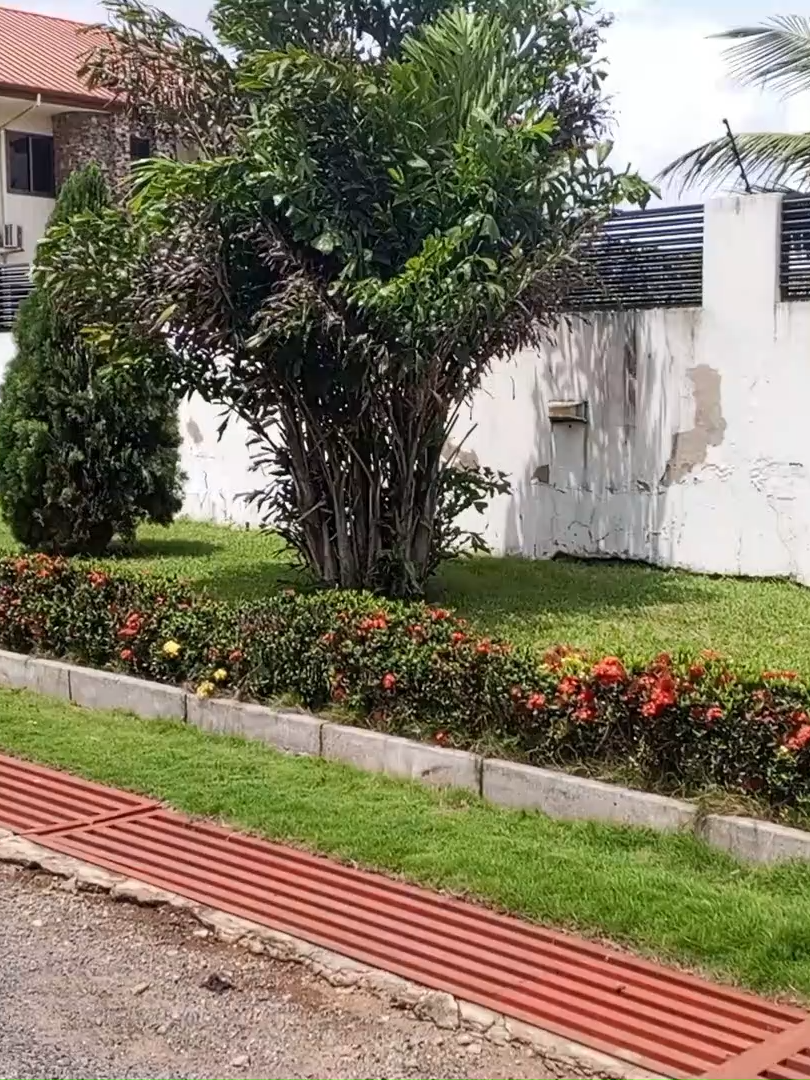 #Tema #fypp #foryoupage #goviral #realestateagent #houseforsell #ghana