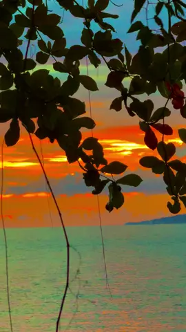 untuk apa dilanjutkan kalau orang baru yang jadi pemenang.!! #sunsettimur #lagutimur #masukberanda #sadstory #fyp 