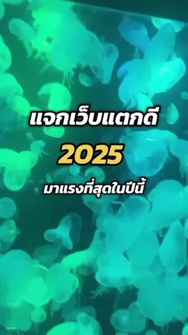 #ฟิดดดシ #ข่าวtiktok #2025 #เธรดเศร้า 