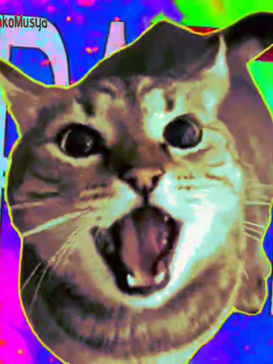 в☠️☠️☠️18 фпс #tweening #кот #анимация #fyp #piss 