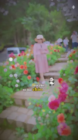 #CapCut #xuhuongtiktok #xuhuong #nhachaymoingay #vuivemoingay❤️ 