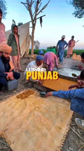 Lehnda Punjab ♥️ #viraltoday #punjab #lehndapunjab #fypシ゚viral #wasdapunjab 