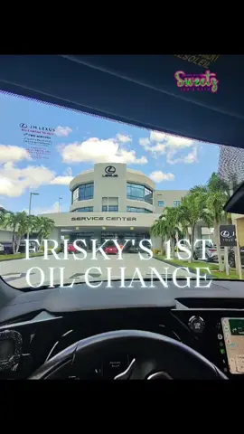 1st oil change for Frisky and 2st time I've ever got service at a dealership. 10/10 #1st #Lexus #OilChange #Frisky #Vlog 