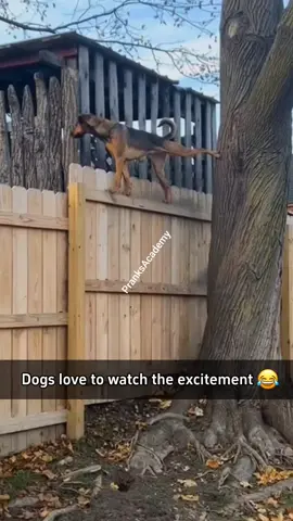 How to watch neighbours fight 😬  By Gossipers who have no job but to monitor your own life lol 😂  by @Koollife Billionaire   #pranksAcademy #shorts  #viralvideo #viralreels #trending